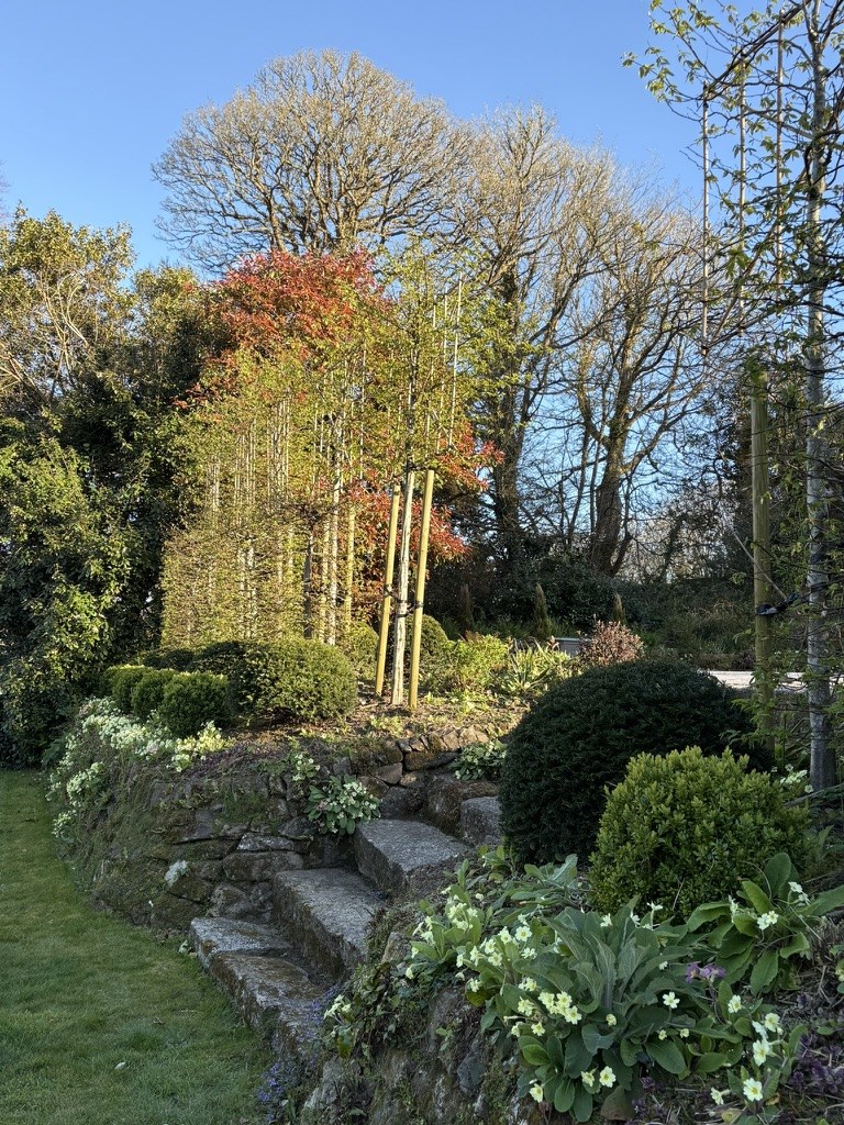 Spring Time at Ennys Cornwall image