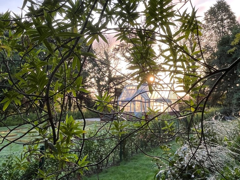 New Client : Ennys Cornwall  image