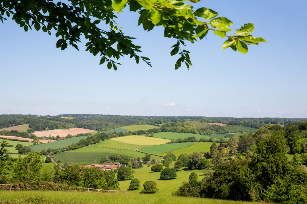 New Client : Drovers’ Hill  image