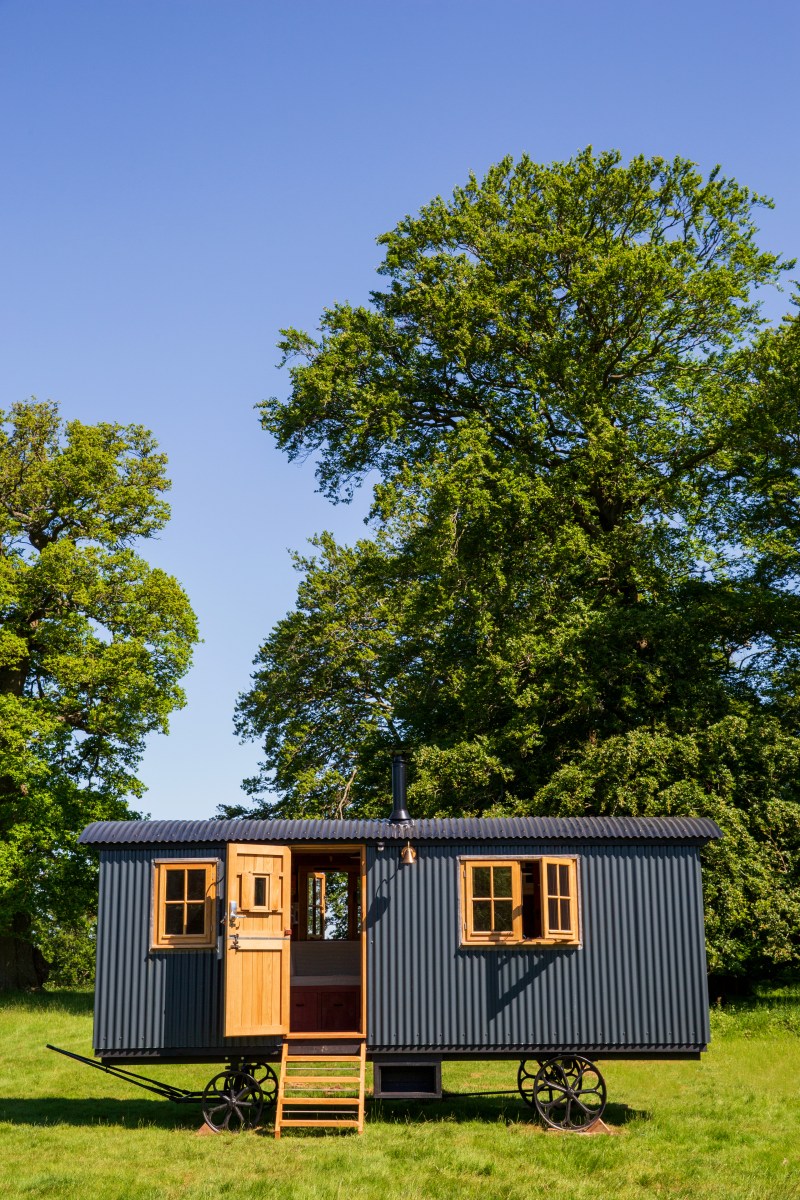 New Client : Drovers’ Hill  image