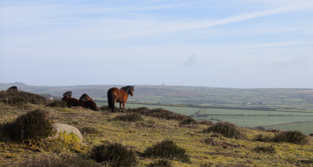 New Client : Sancreed House Retreat image