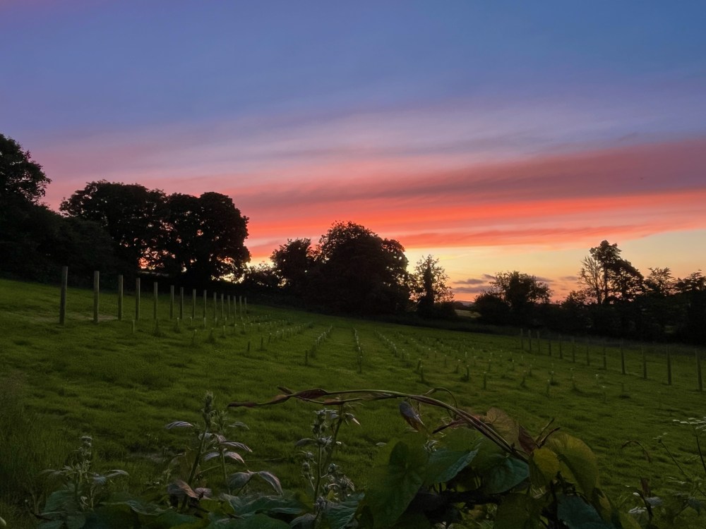 New Client : Ennys Cornwall  image